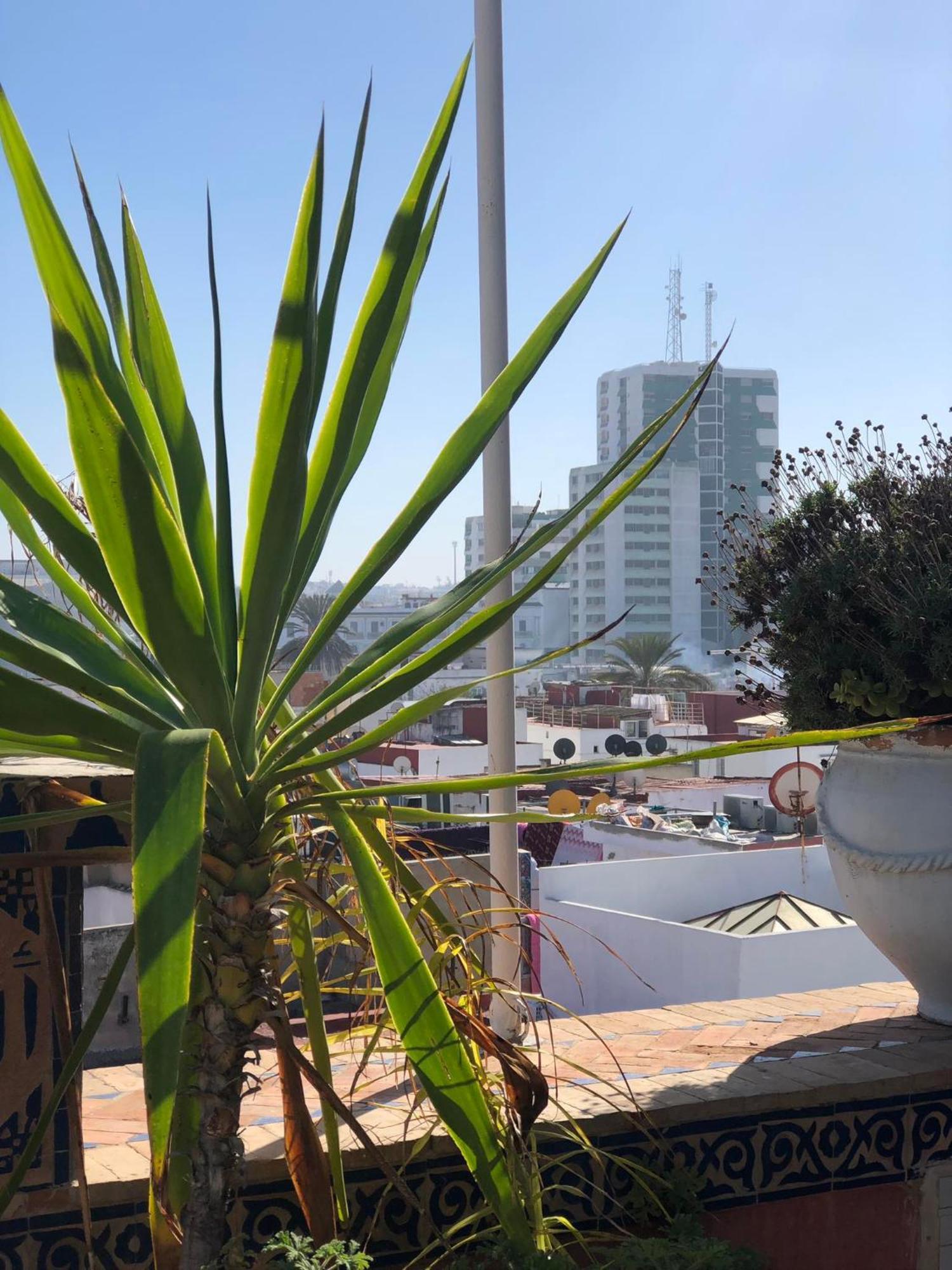 Riad Razoli Sidi Fateh Rabat Ngoại thất bức ảnh